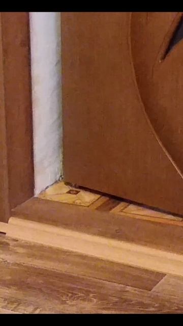 Котенок сам открывает дверь смотреть онлайн