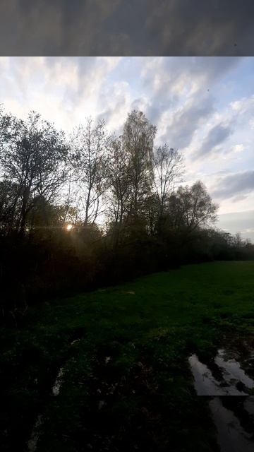 весна.mp4 смотреть онлайн