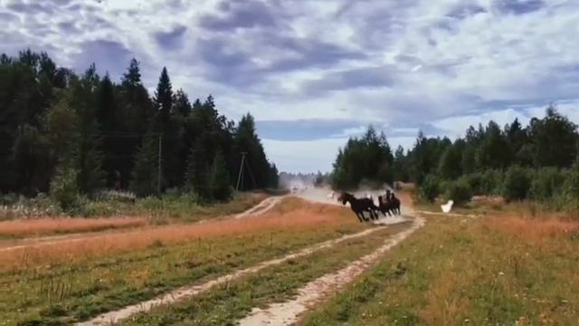 Полюшко поле на Турецком, Музыка смотреть онлайн