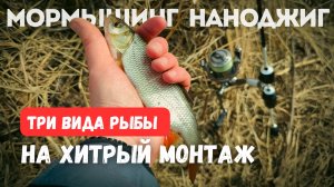 Как поймать ТРИ ВИДА РЫБЫ на ХИТРУЮ СНАСТЬ. Мормышинг и наноджиг.