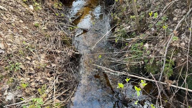 Живая открытка № 55. Смотри и отдыхай.