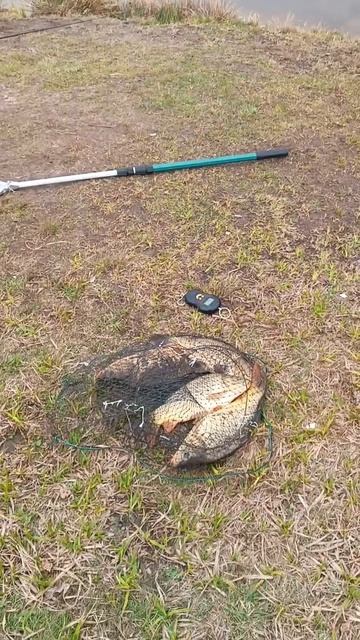 Рыбалка на озере