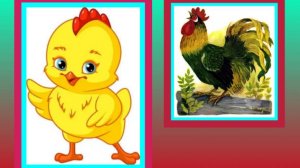 Сказка. Цыпленок. Корней Чуковский.