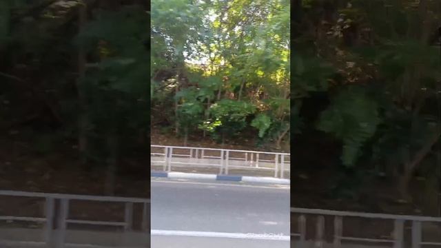 ЕДЕМ ПО ПОСЁЛКУ МИРНЫЙ ЛАЗАРЕВСКОГО РАЙОНА СОЧИ