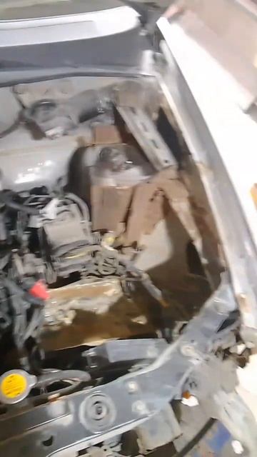 Такого я ещё не видел 😁 смотреть онлайн