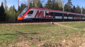 Иволга на МЦД 2