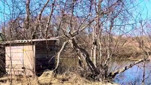 Утиный рай. Запасной скрадок