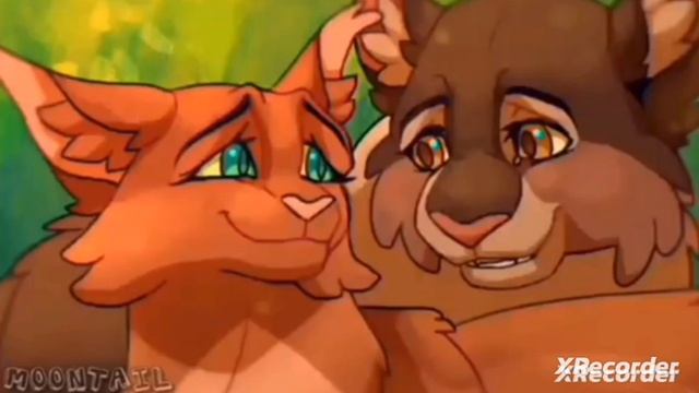 ~✿°•.коты воители клип в честь лета.•°✿~ смотреть онлайн