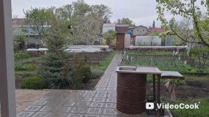 Vlog/9/ Дождь и холод/ Маме опять не угодила/ Хадемара- новый сорт клубники у нас на даче..