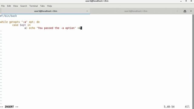 linux-system-engineer-bash-shell-scripting-for-automation-en смотреть онлайн