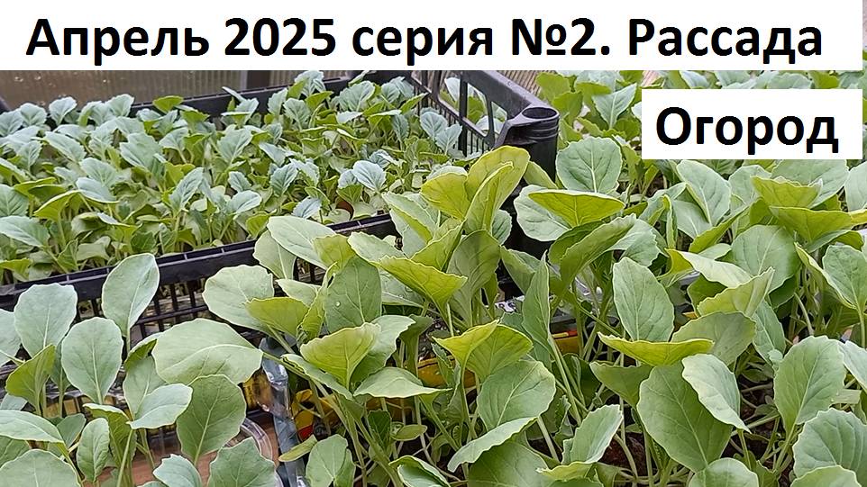 Апрель 2025. серия №2 Рассада - огород смотреть онлайн