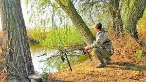 ПОСТАВИЛИ СЕТИ И БРОСИЛИ!!! БРАКОНЬЕРЫ ДОБРАЛИСЬ И ДО ЭТИХ МЕСТ! РЫБАЛКА В ДИКИХ МЕСТАХ.