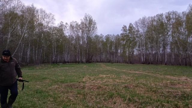 Весеннее открытие охоты на боровую дичь 2025 г. смотреть онлайн