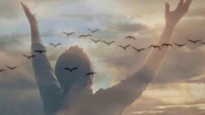 БЕЛЫЕ ПТИЦЫ🎼(О.Хромов)🎼🎼🎼