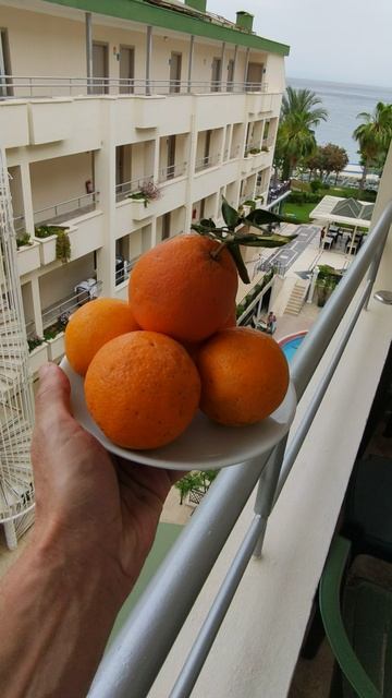 Доброго оранжевого утра! смотреть онлайн