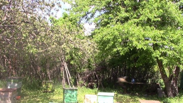 MVI_2276 смотреть онлайн