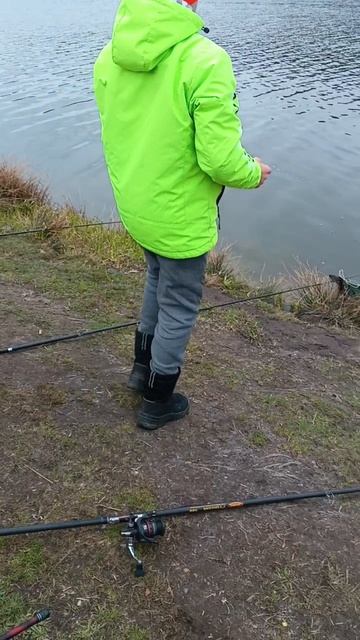 КАРП В САДОК рыбалка на карпа