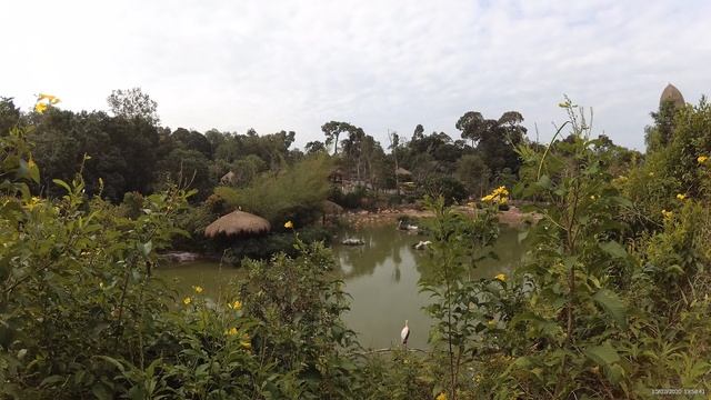Птицы в Винперл Фукуок сафари парк (Vinpearl Safari Phu Quoc) _ часть 1