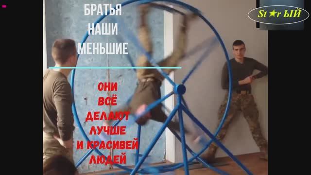 Людишки многому научились и зверюшек.