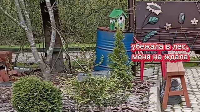 (1007) Лиса приходит в гости. Май 2025 смотреть онлайн