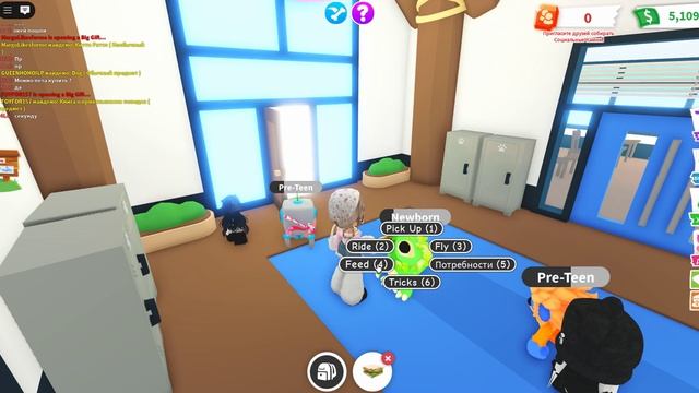 ADOPT ME! Проходим вместе!