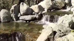 С ДОБРЫМ УТРОМ! ШУМ ВОДОПАДА. ЛОВИТЕ ХОРОШЕЕ НАСТРОЕНИЕ