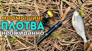 🐟ЩУКА гонится за ОКУНЕМ! ПЛОТВА на БЕЛЫЙ цвет. ЧТО ЕЩЁ ПОЙМАЛ в Парке?#мормышинг #nanojig