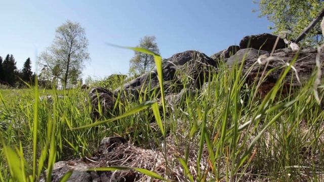 Звуки Концентрации Музыка для Учебы🧑🎓 смотреть онлайн