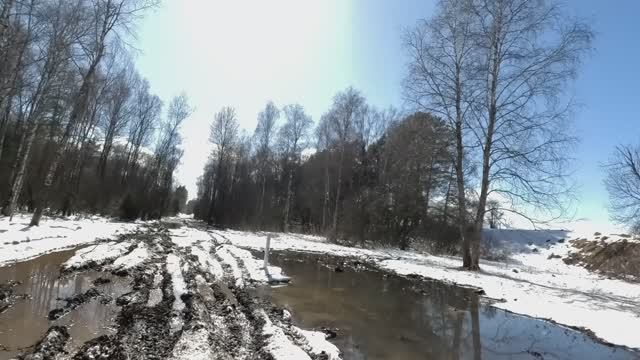 Обстановка накаляеться.Таинственный лес затягивает свою петлю на моей шее.Выживу или сгину в болоте? смотреть онлайн