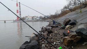 Рыбалка на Амуре 01 05 2025