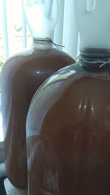 100 литров медовухи смотреть онлайн