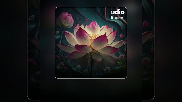 The Lotus. смотреть онлайн