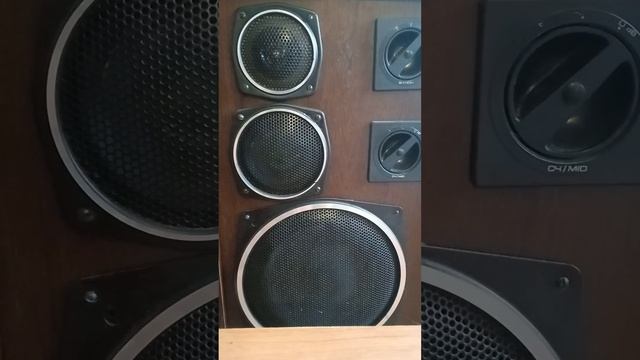 Она женщина с низкой ценностью ? Защити себя,! Имеет значение ! смотреть онлайн