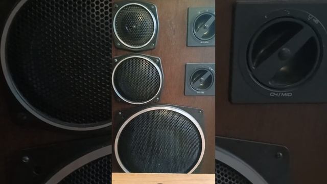 ЧТО ЗАСТАВЛЯЕТ ЖЕНЩИН ВЛЮБЛЯТЬСЯ В МУЖЧИН - СТОИКОВ ? смотреть онлайн