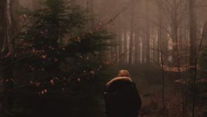 Мелодии тёмной осени