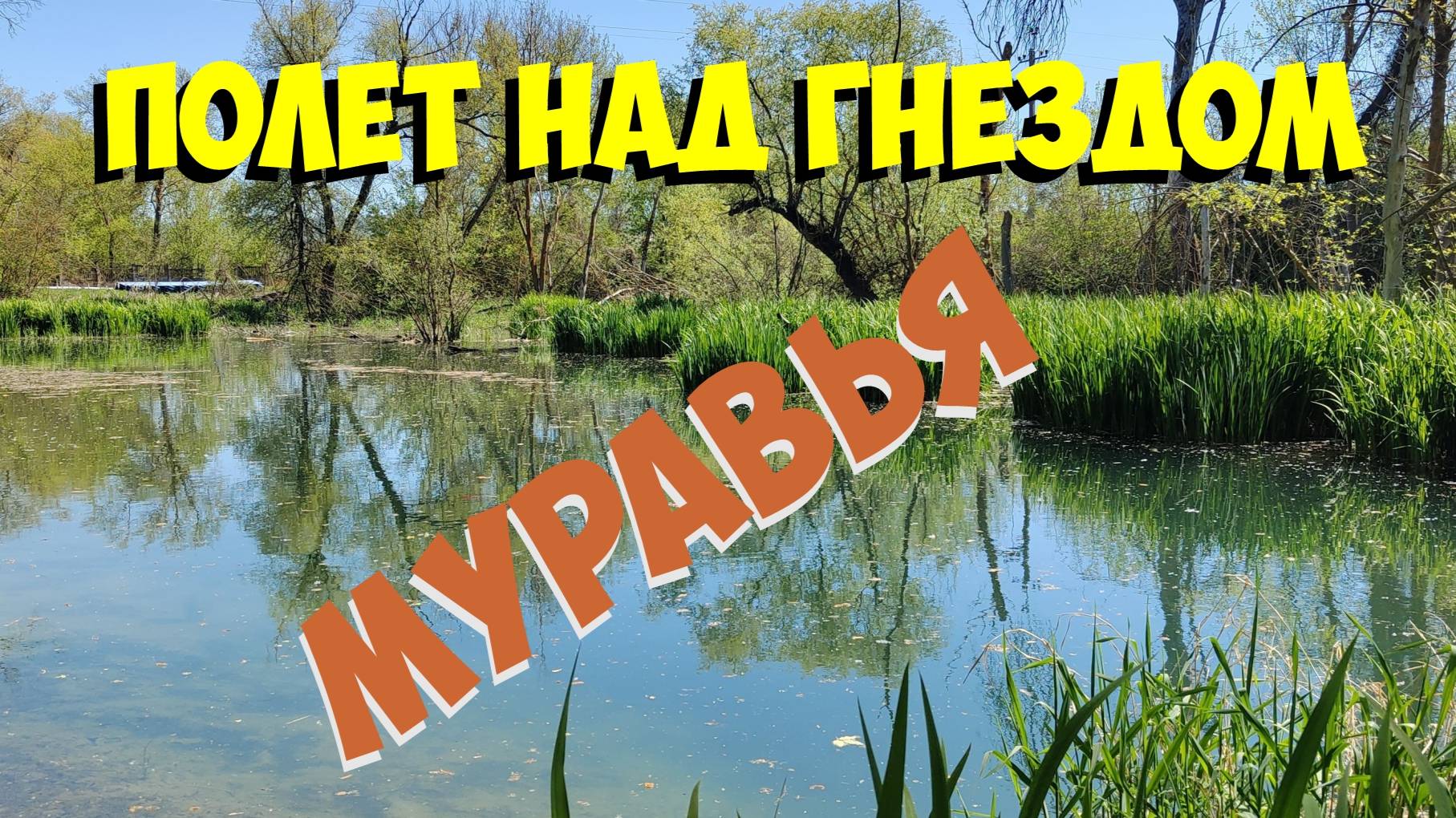 Полёт над гнездом муравья смотреть онлайн