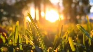 Красивая Азербайджанская песня