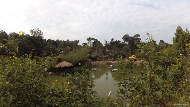 Птицы в Винперл Фукуок сафари парк (Vinpearl Safari Phu Quoc) _ часть 3