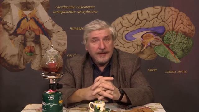 Сообразительные вороны смотреть онлайн