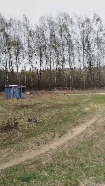 Микропорыв ветра при прохождении тёплого фронта смотреть онлайн