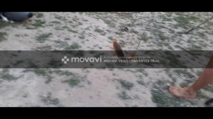 Рыбалка Дон, Калач на Дону.