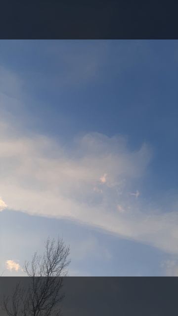 Красота .mp4 смотреть онлайн