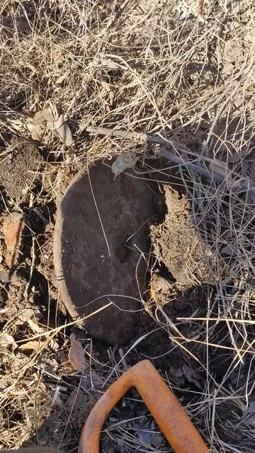 Вечный диск на болгарку