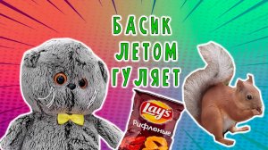 😺 ВЛОГ БАСИК И ХОЗЯЙКА ГУЛЯЮТ ЛЕТОМ 🙀 БАСИКИ БАСИКИ