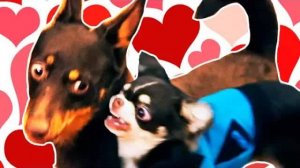 Им нельзя быть вместе? 💔 Родители против, а дети спорят!