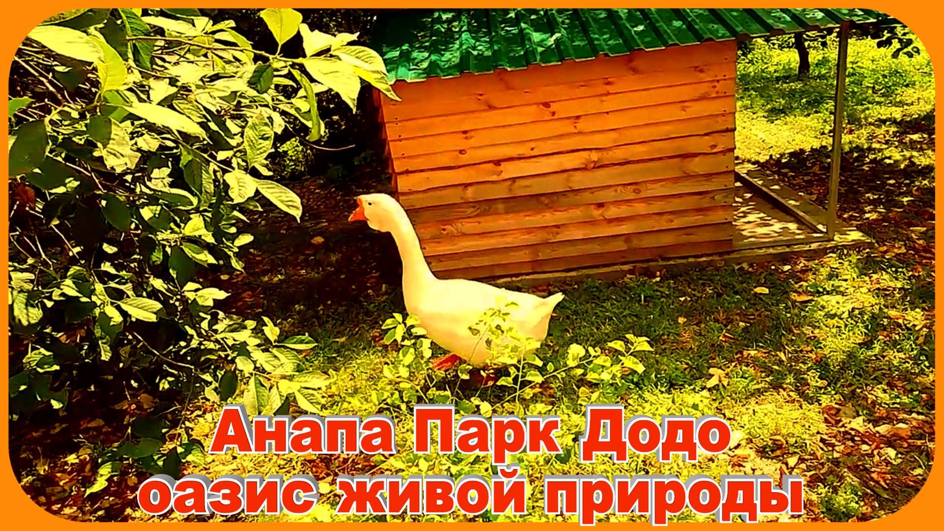 Анапа Парк Живой Природы Додо смотреть онлайн