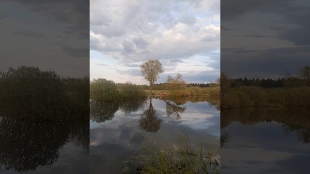 Весенняя красота природы.mp4 смотреть онлайн