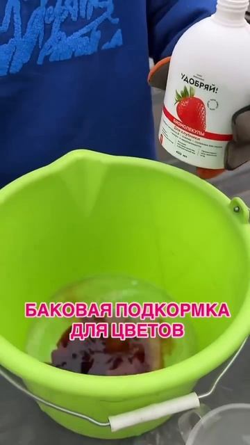 Секрет пышного цветения с байковой подкормкой для цветов! смотреть онлайн