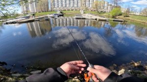 SUB ZERO в поисках окуня)✅