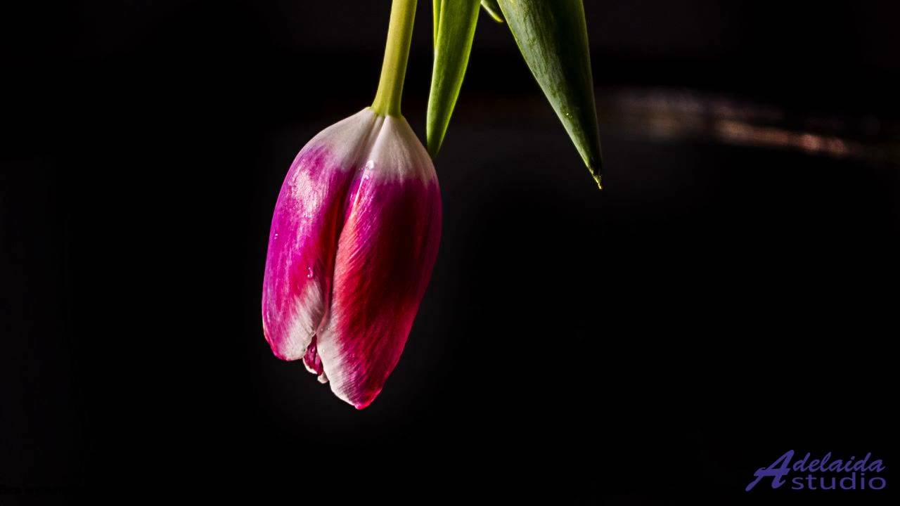 ❤ ♥ ❤ Трек, который ускоряет время - Worldwide -- Makaih Beats -- Worldwide.mp4